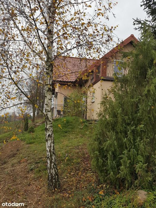 Dom na sprzedaż na wsi pod Golubiem-Dobrzyniem (Kamienny Smug) - Widok 5