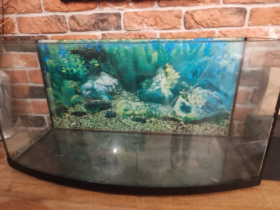 Akwarium 90litrow