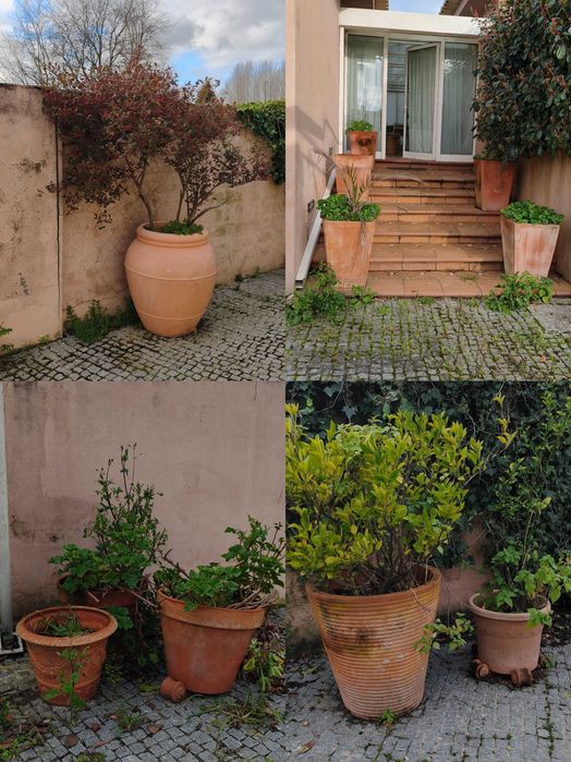 Vasos diversos cerâmica e compósito