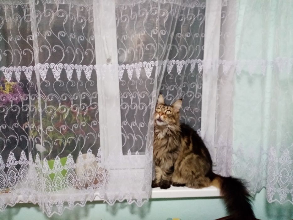 Здам місце в   кімнаті .в теплому затишному будинку.