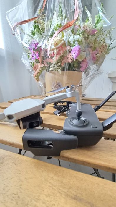 Dji Mavic Mini *