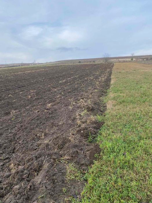 Продам  землю в Колоденці