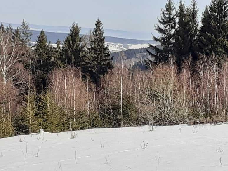 sprzedam działkę mieszkalno-pensjonatową - Widok 2