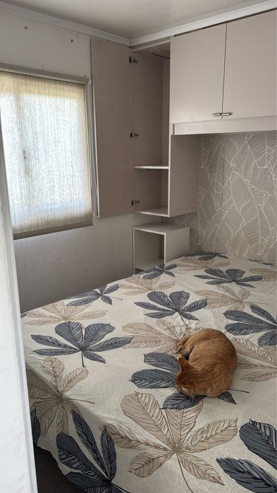 Quarto para arrendar quinta do condeo