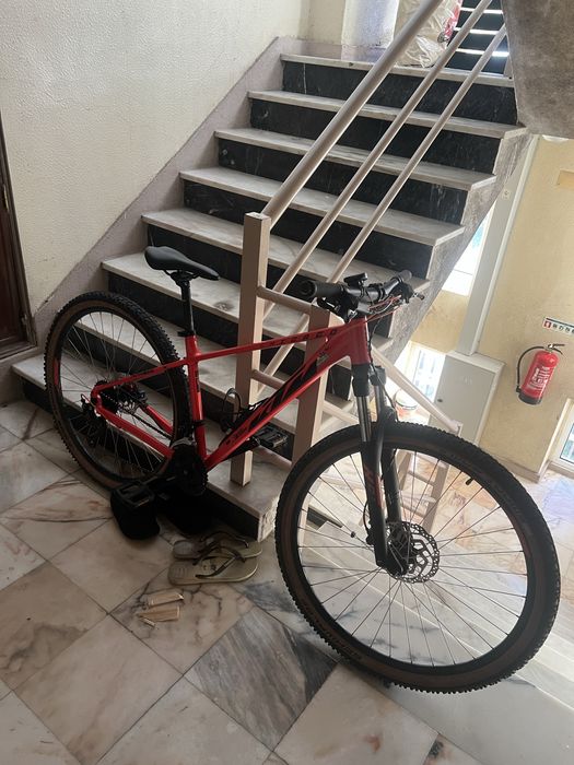 Bicicleta da cicloreis