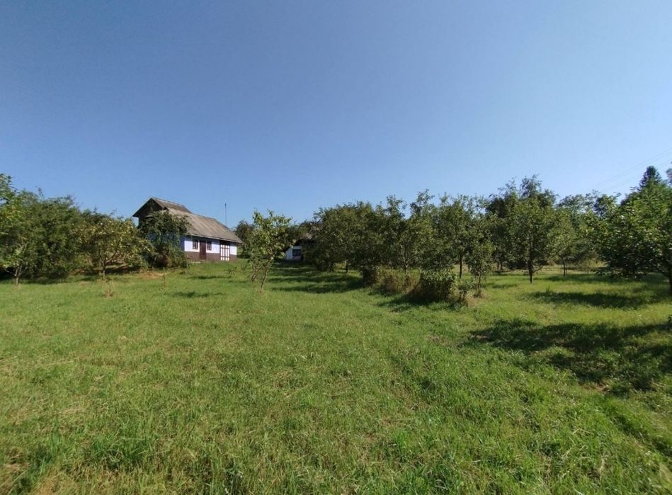 Продаю Землю. Продаж