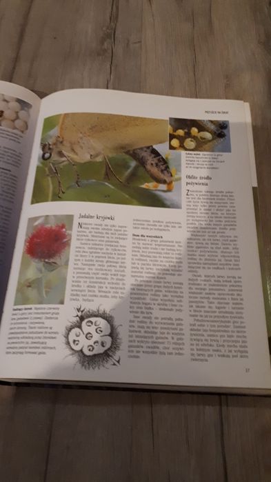 Na tropach sekretów przyrody piękny album Readers Digers