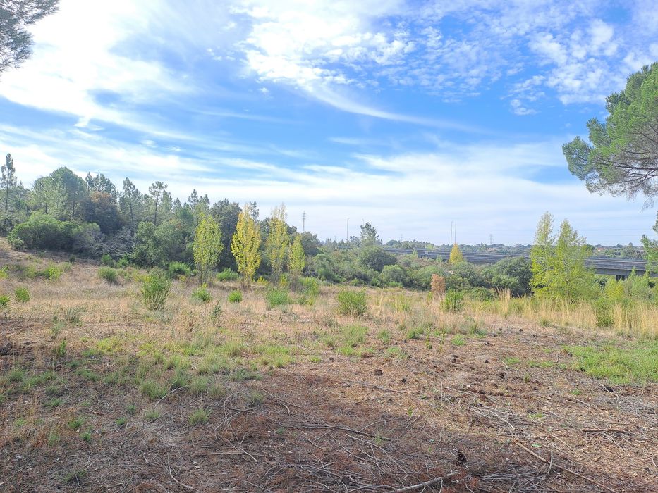 Terreno com poço na Albufeira do Carril