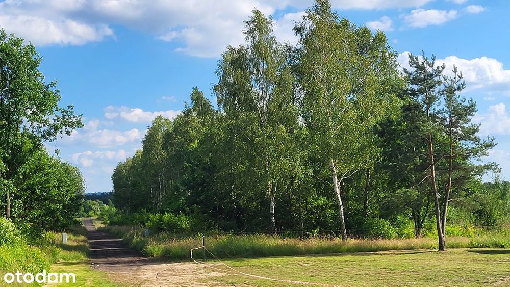 Działka Budowlana 1000m²