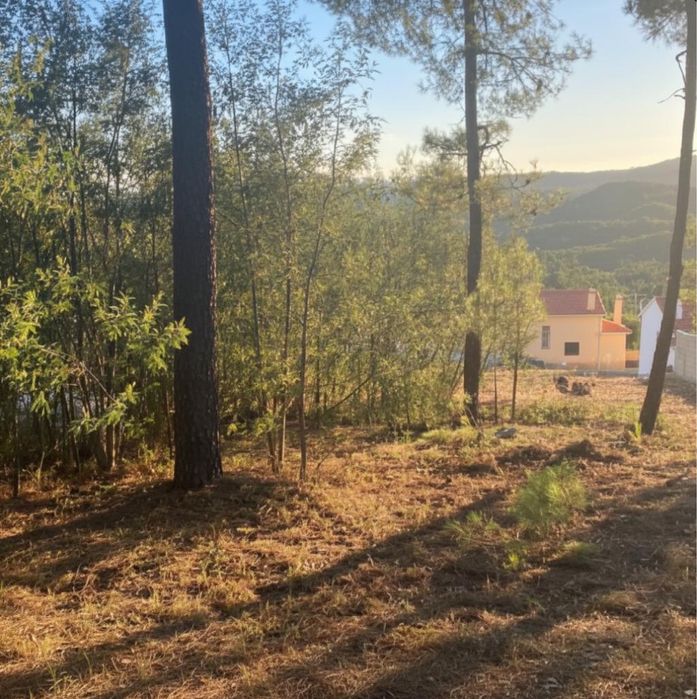 Terreno com licença para construir