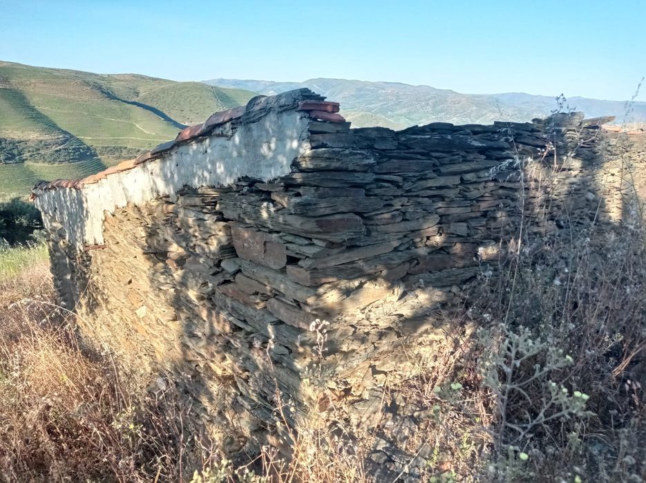 Terreno Rustico em Sequeiros - Torre de Moncorvo