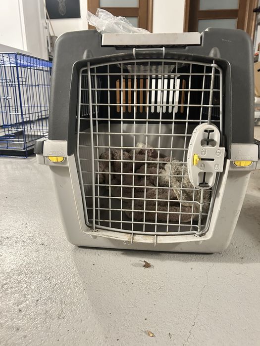 Transporter dla psa / kota – solidny, z metalowymi drzwiczkami