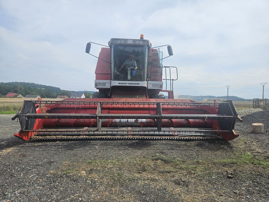 Kombajn Massey Ferguson 38