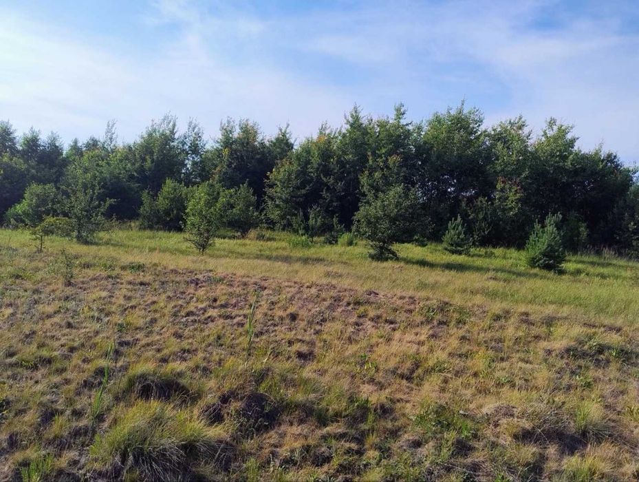 Продаж земельної ділянки під забудову 10сот, 5км до Львова.Без комісії