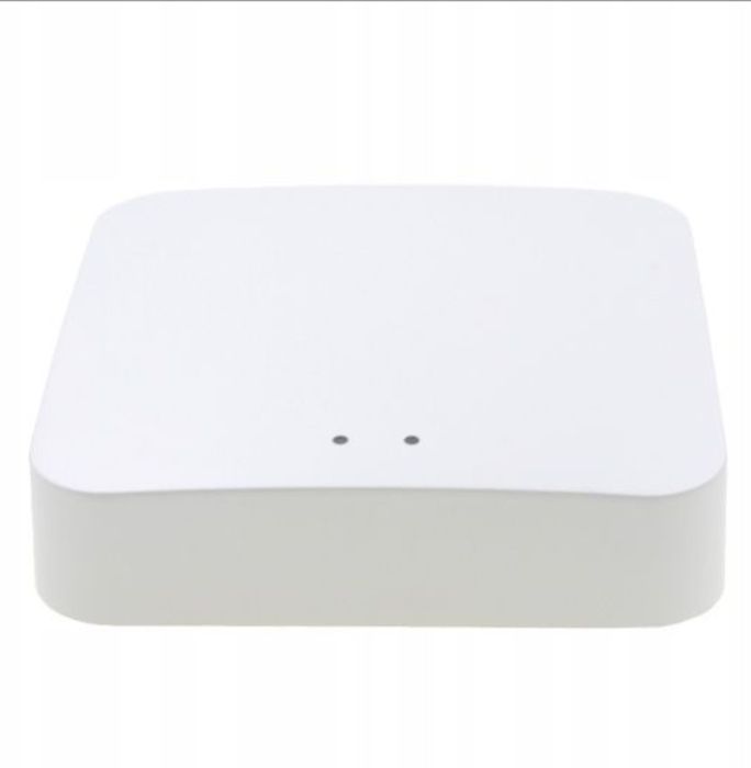 Bramka Tuya Smarthome