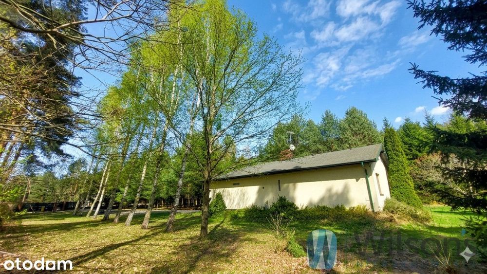 Parterowy dom 156 m na działce 9130m2