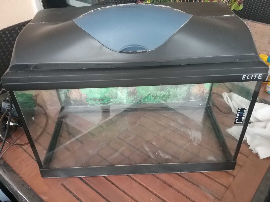 02 aquarios totalmente equipados