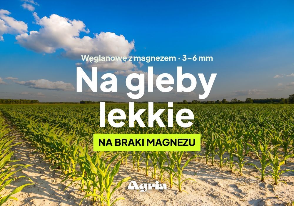 Wapno nawozowe granulowane z magnezem — węglanowo-magnezowe do gleb lekkich, do rozsiewacza, bez pylenia, big bag 1 t, atest OSChR