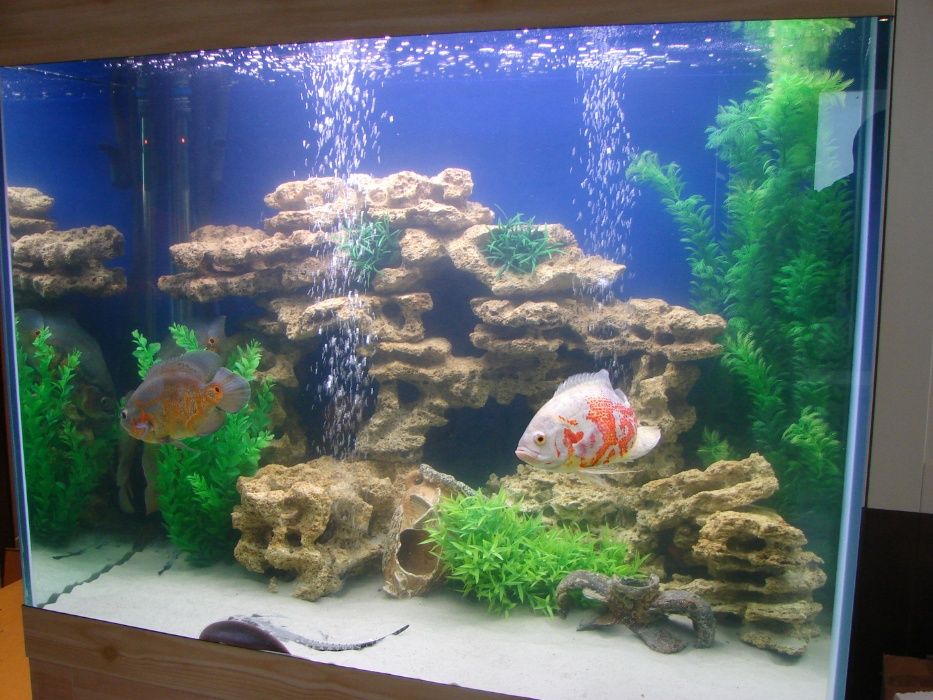 Аквариуми під замовлення