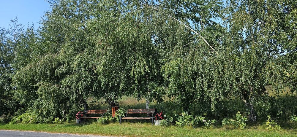 Zdjęcie 3