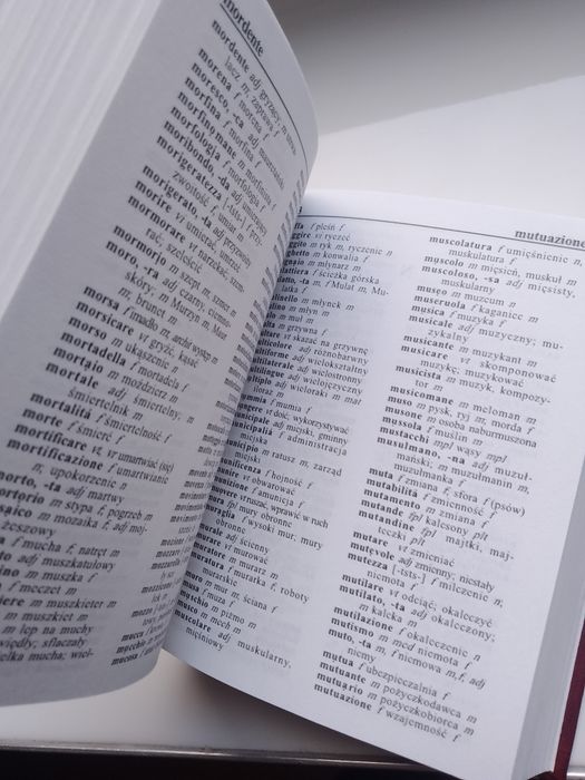 Słownik włoski-polski