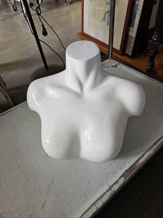 Manequins homem e mulher Novos