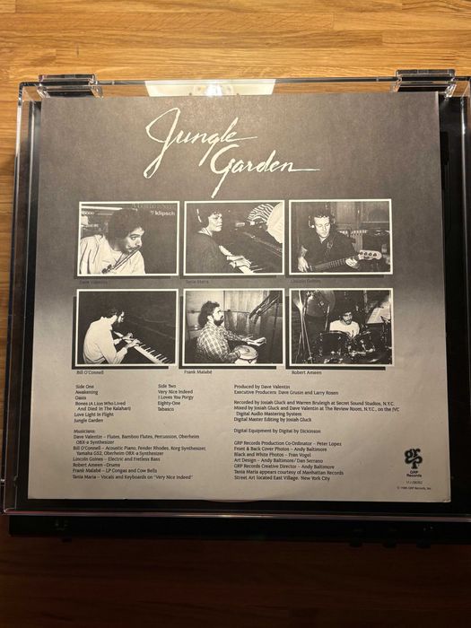 LP Dave Valentin - Jungle Garden - JAPAN - OBI Piaseczno • OLX.pl
