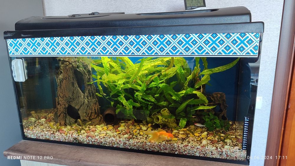 Продам акваріум 280літрів з усім обладнанням і рибками