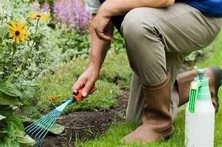 Reparação e manutenção de piscinas