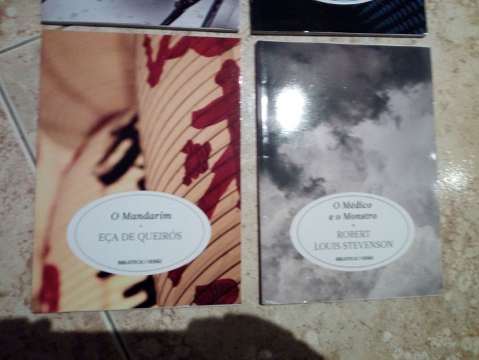 Biblioteca de Verão