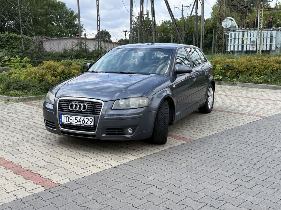 Audi A3 Sportback  A3 8P 2007 1.9 TDI 105km