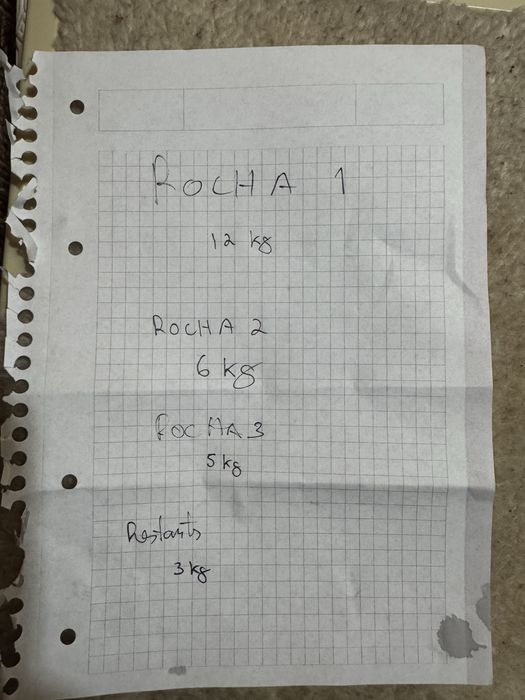 Rochas zanzibar aquario