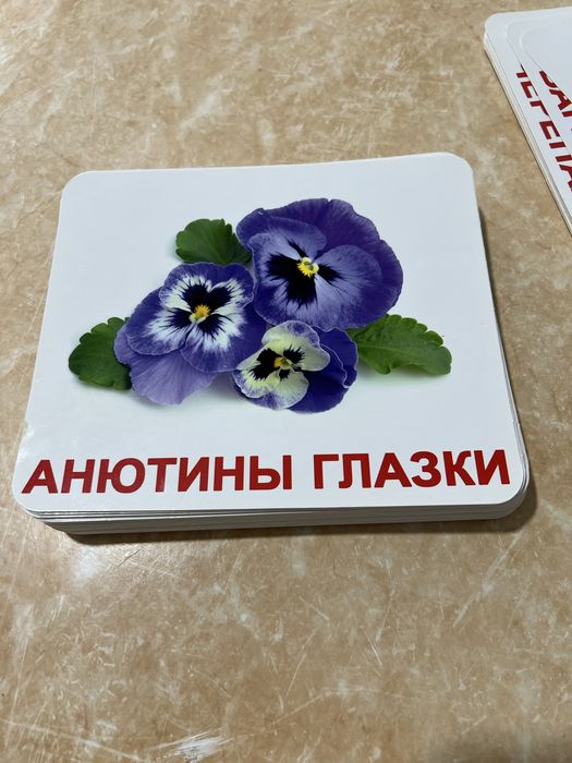 для детей карточки 100 штук