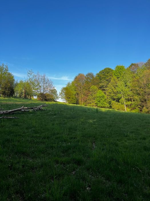 Sprzedam działkę rolną