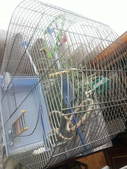 Велика клітка фірмова якісна для птахів