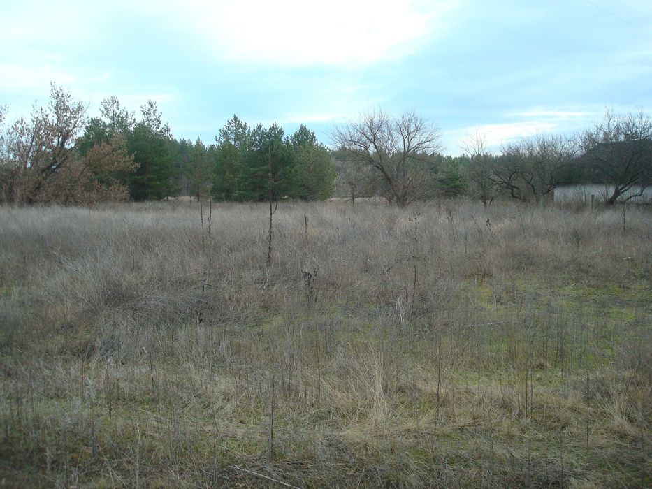 Ціну змінено!!! Продам земельну ділянку під будівництво в с. Чорнявка