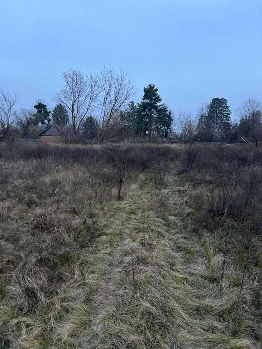 Пропоную до продажу земельну ділянку в с. Мошни