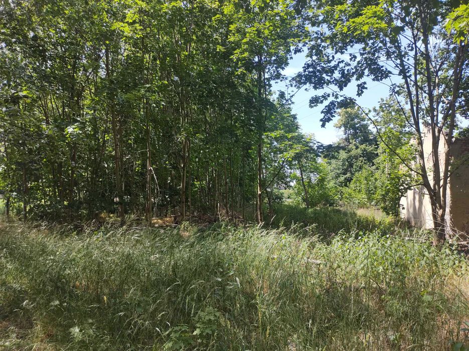 Nieruchomość budynkowa, Kutno, Chopina