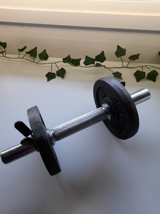 Alteres de musculação - ótimo estado