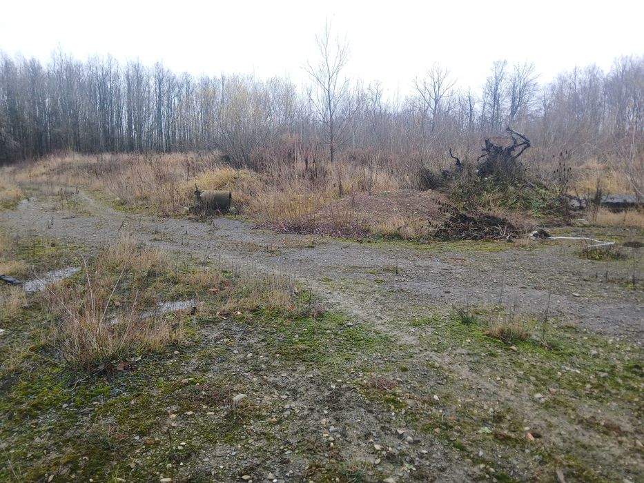 Продаж земельної ділянки, площею 0,5617 га, Чернівецька обл.