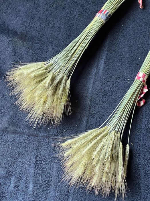 Пшениця, жито, ячмінь, нігела, овес, сухоцвіти, для флористів