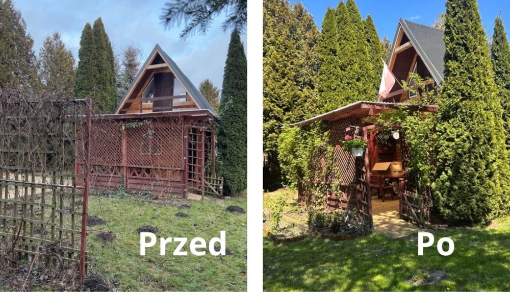 Zdjęcie 8