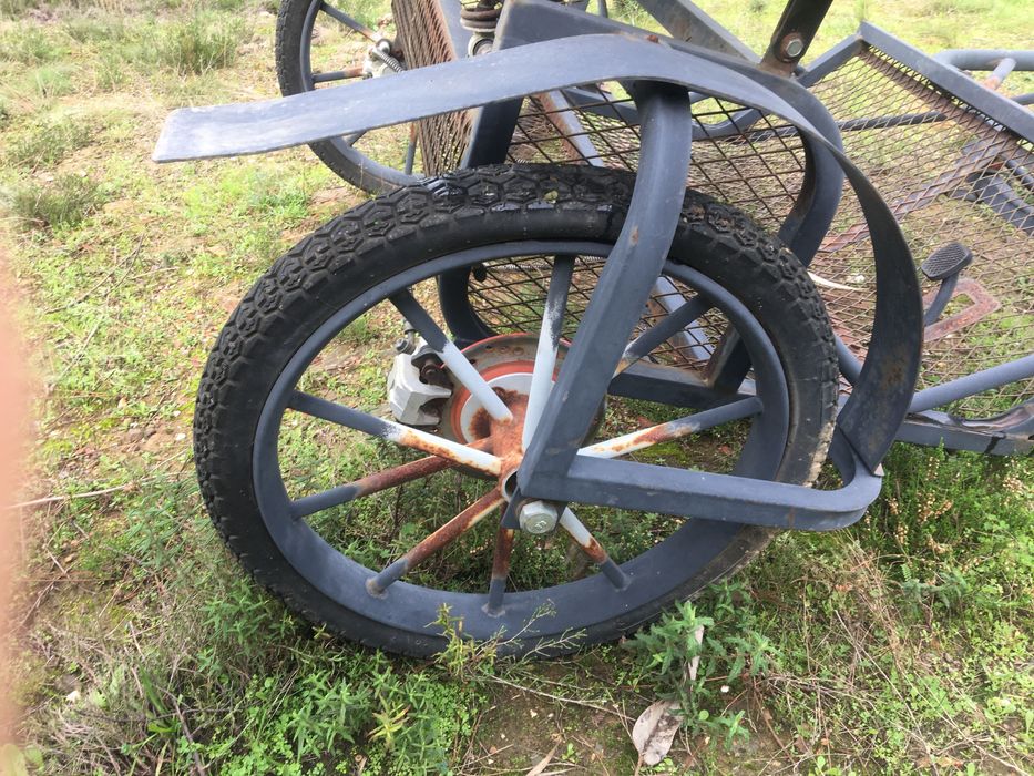 charete de 1 eixo para burro grande ou Mula / cavalo ate 155cm + Arreios sintheticos de Sieltec