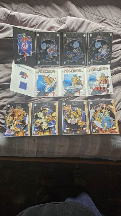 Saint seiya, os cavaleiros do zodíaco