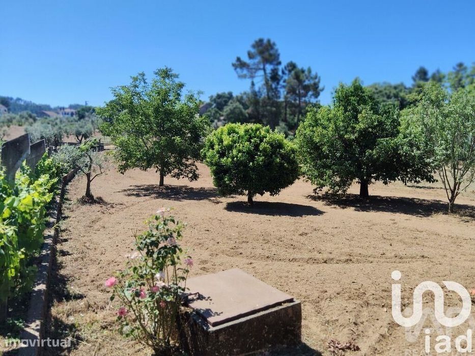 Terreno em Castelo