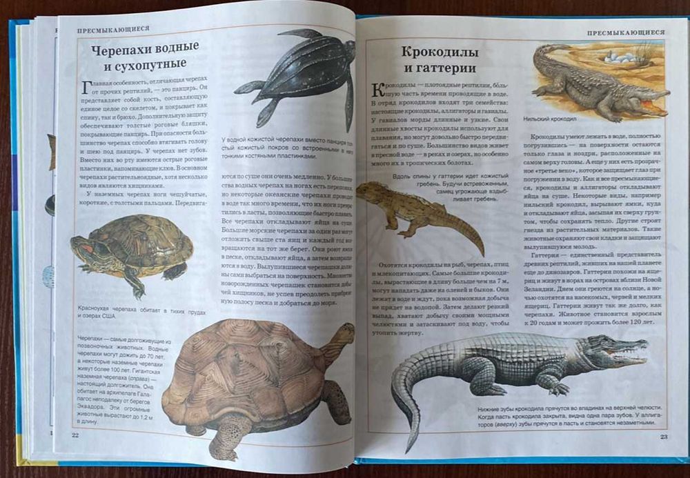 Книга "Животные" Клэр Астон 2008 год ККСД