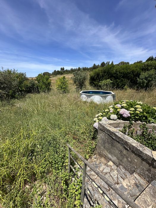 Limpeza de Terrenos e Quintas | O Moço do Laré