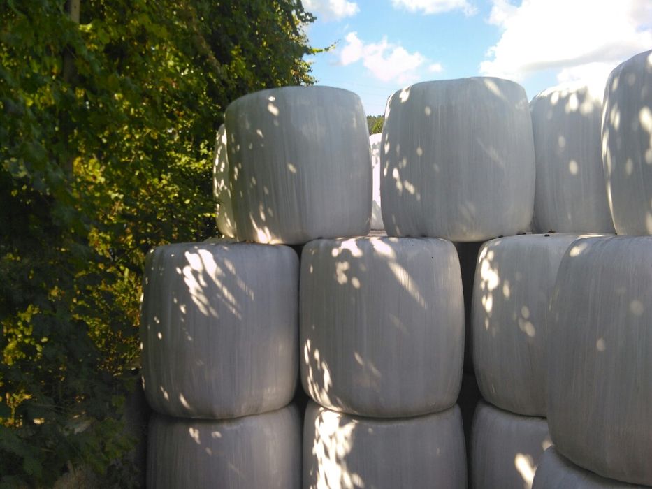 Vendo Rolos de Palha de Azevém e Aveia