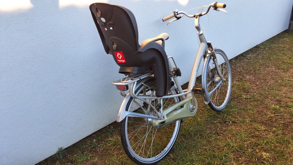 Rower  batavus mambo