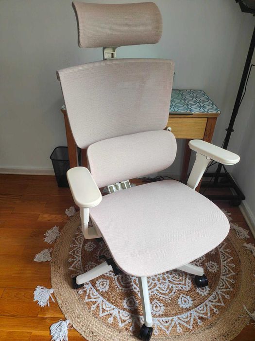 Cadeira ergonómica FlexiSpot C7 – como nova – cor damasco